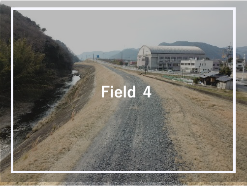 FIELD 4