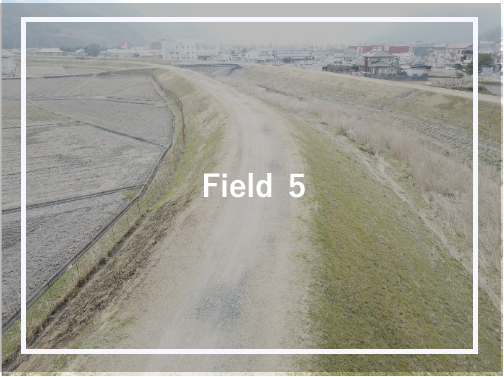 FIELD 5