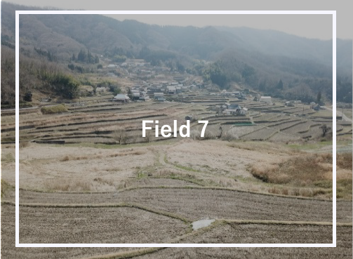 FIELD 7