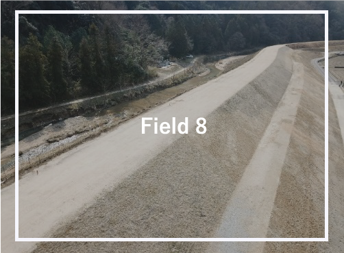 FIELD 8