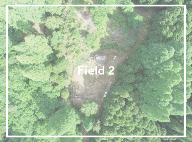 Field2