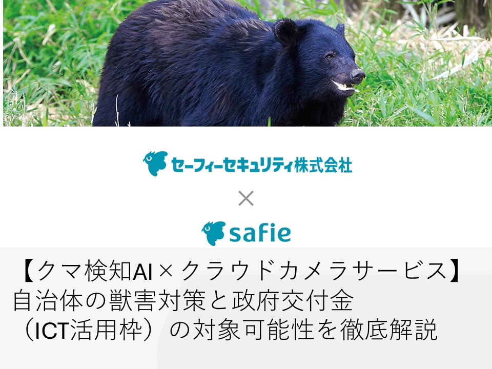 2026最新】セーフィーがクマ検知AI×クラウドカメラサービスを開始